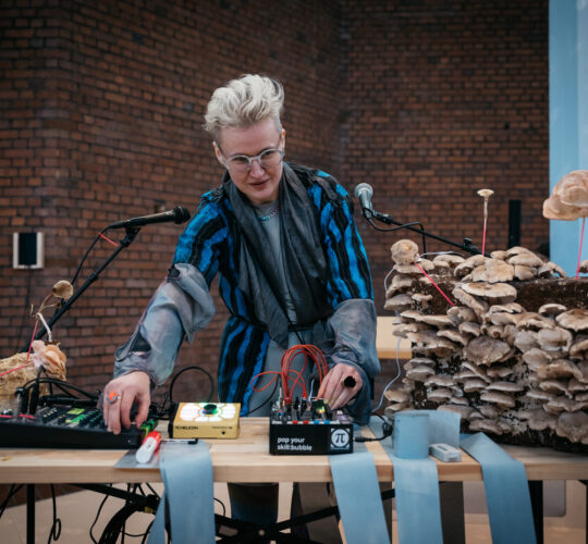 UKR Healing Complex Myconomie 2023 c D Sadrowski 9157