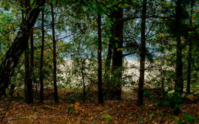 Silbersee II (Preview 2)