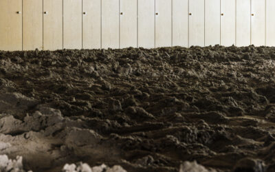 20210811 ukr asad reza holtgreve 0715 hires