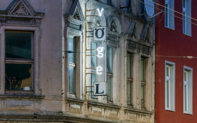 25 Emscherkunstweg Vögel 5516 Hening Rogge