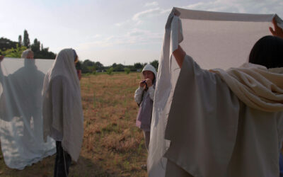 1 Ani Schulze Suffusion of Yellow Still