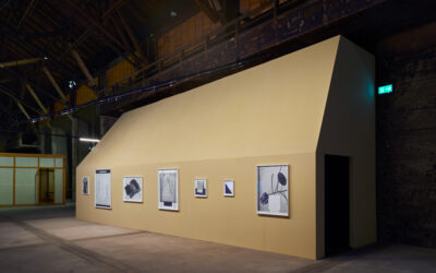 Landscapes of an Ongoing Past Jana Gunstheimer Kosmos 2015 2016