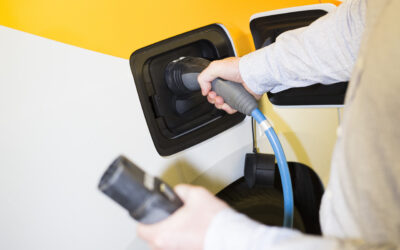 Capital benefits holtgreve 068 preview