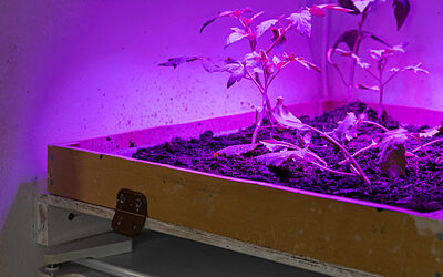 Ruhr Ding Sam Hopkins 6645