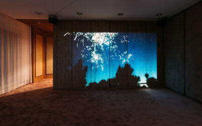 Geisterspiele Natalie Bookchin c Daniel Sadrowski 3115