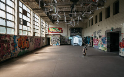 Inverted Mine c Daniel Sadrowski 2493