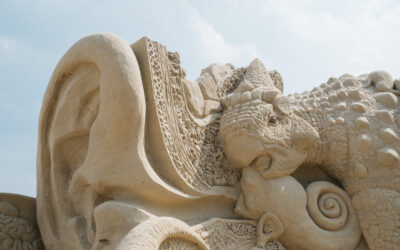 UKR Ruhrding Silbersee2 2021 c Daniel Sadrowski 1013