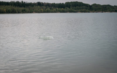 UKR Ruhrding Silbersee2 2021 c Daniel Sadrowski 2750