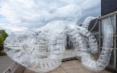 Ruhr Ding Schlaf Gods Entertainment 6770 P