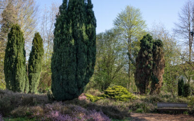 Ruhr Ding Schlaf Turato 6215 P