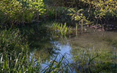 Ruhr Ding Schlaf Turato 6222