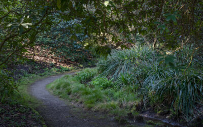 Ruhr Ding Schlaf Turato 6243 P