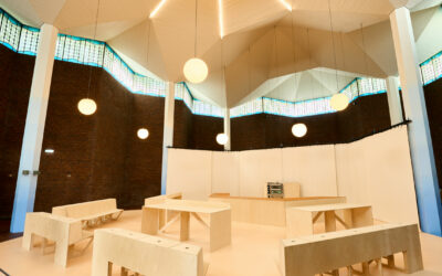 Irena Haiduk Healing Complex 04 David Born