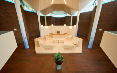 Irena Haiduk Healing Complex 02 David Born